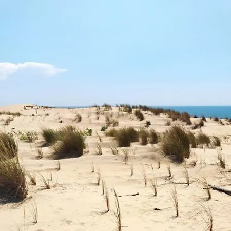 Charmante Maison 4 Pers, Terrasse, Parking, Animaux Admis, Wifi - Fr-1-705-62 Les Mathes