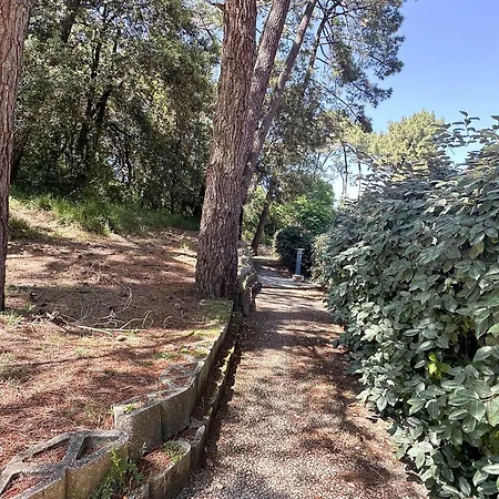 Semesterbostad Charmante Maison 4 Pers, Terrasse, Parking, Animaux Admis, Wifi - Fr-1-705-62 Les Mathes